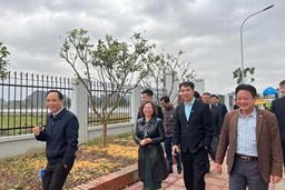 Ngày Khai Xuân - Tết trồng cây của trường mầm non Hợp Thanh năm 2025