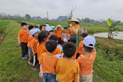 Hoạt động trải nghiệm thực tế hàng năm của Trường Mầm non Hợp Thanh
